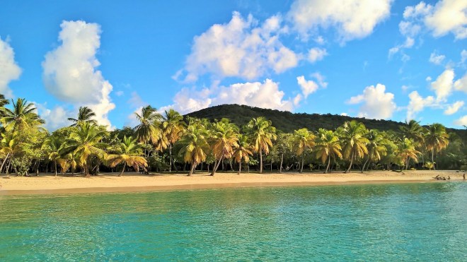 WP_20160115_21_26_59_Pro 1