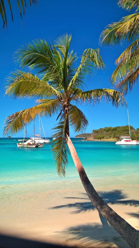 WP_20160116_17_06_11_Pro