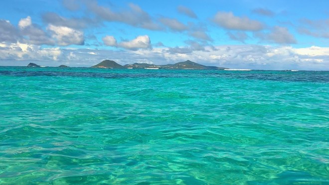 WP_20160117_20_20_14_Pro