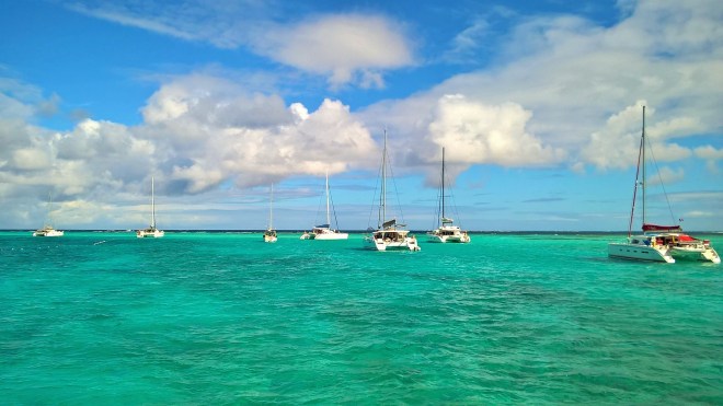 WP_20160118_19_40_58_Pro