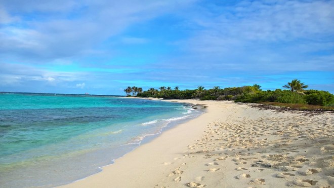 WP_20160118_21_05_31_Pro