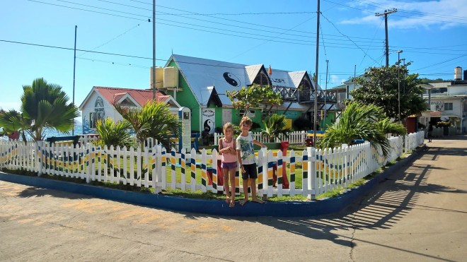 WP_20160120_14_48_45_Pro