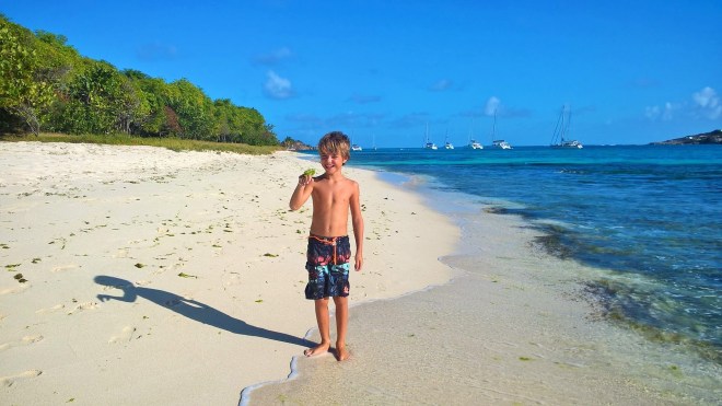 WP_20160120_20_54_27_Pro