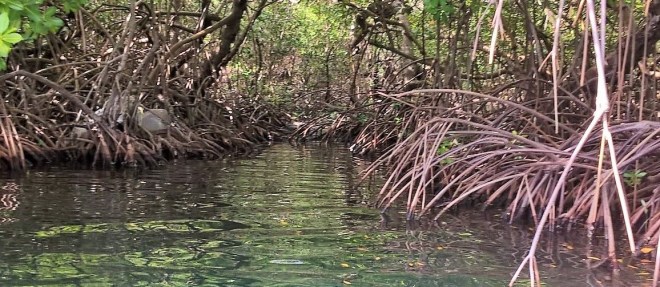 WP_20160122_20_20_38_Pro