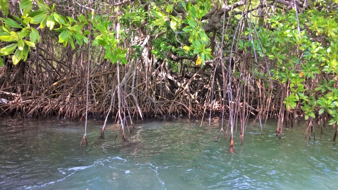 WP_20160122_20_27_54_Pro