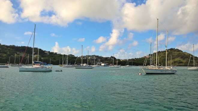 WP_20160123_13_23_58_Pro