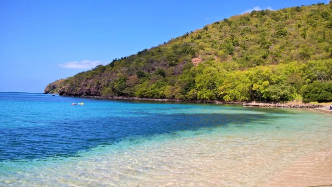 WP_20160201_16_38_08_Pro