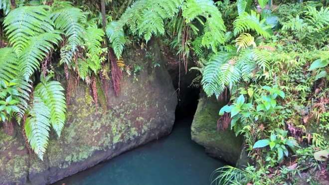 WP_20160214_19_49_22_Pro