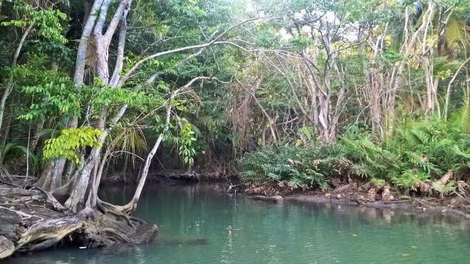 WP_20160216_22_34_18_Pro