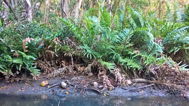 WP_20160216_22_34_35_Pro