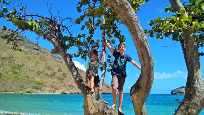 WP_20160223_16_10_31_Pro