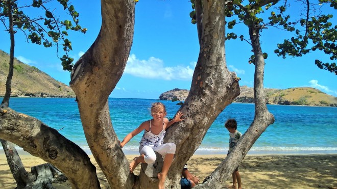 WP_20160223_16_14_14_Pro