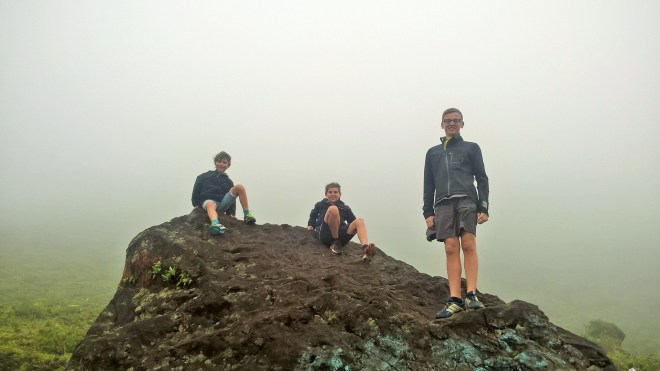 WP_20160225_15_08_32_Pro