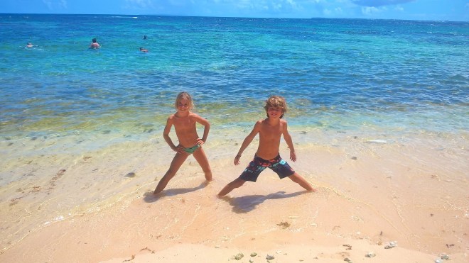 WP_20160306_16_37_58_Pro