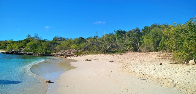 WP_20160317_21_37_37_Rich