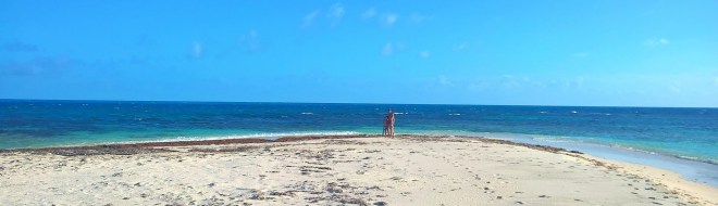 WP_20160320_21_46_32_Rich