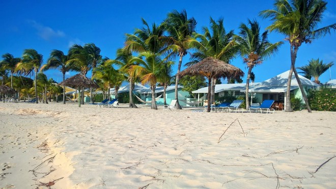 WP_20160320_21_55_34_Rich