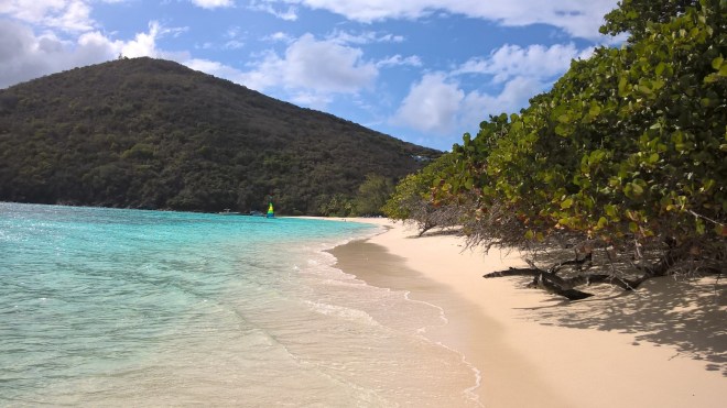 WP_20160331_21_27_49_Rich