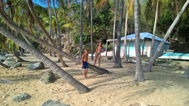 WP_20160402_22_51_10_Rich