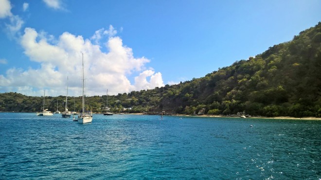 WP_20160403_15_23_02_Pro