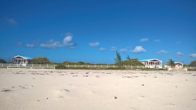 WP_20160407_22_28_48_Rich