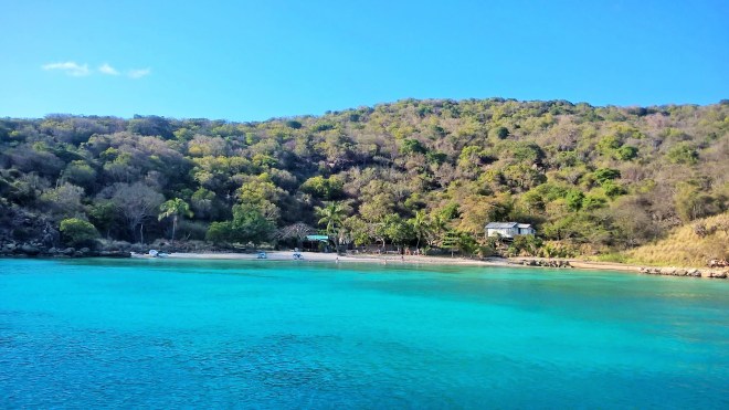 WP_20160413_16_40_50_Rich