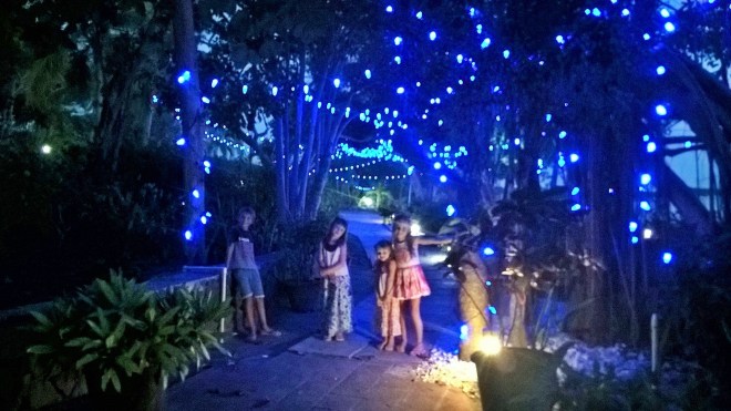 WP_20160417_18_54_33_Rich