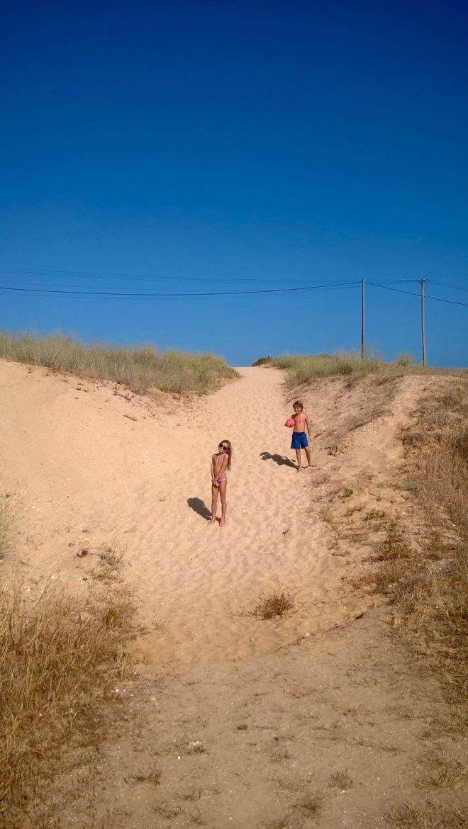 WP_20160623_17_44_45_Rich