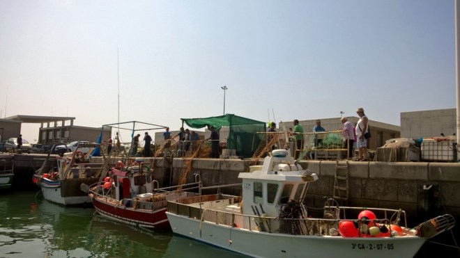 thumb_WP_20160704_11_57_34_Rich_1024